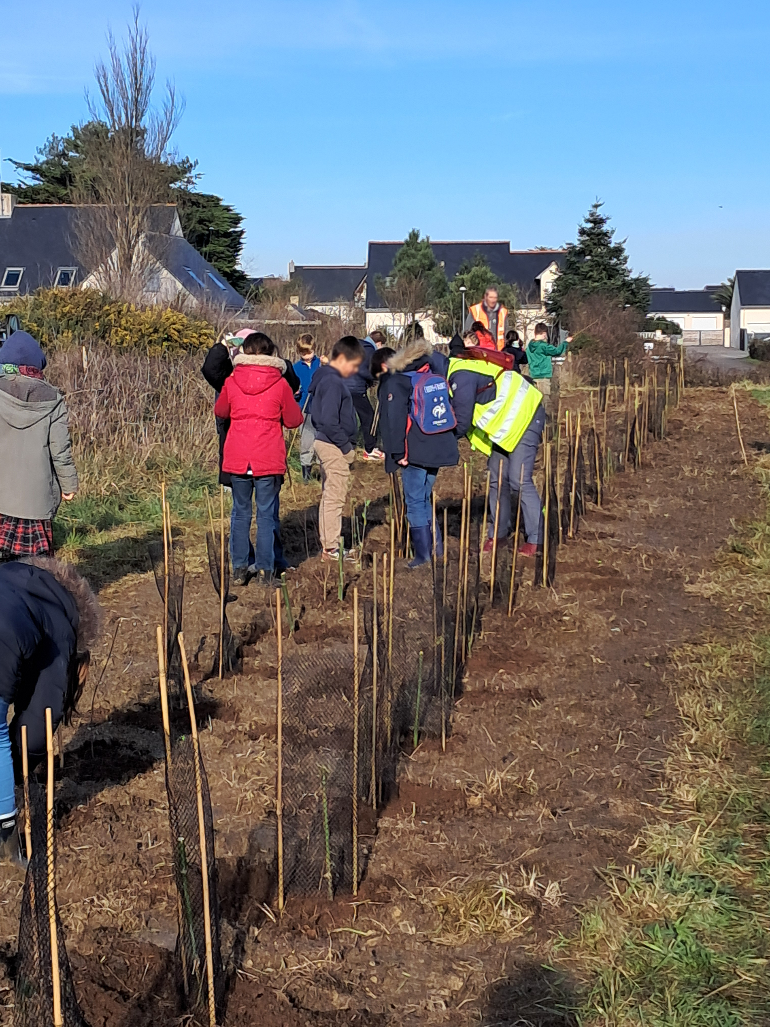 Élèves, habitants et touristes sensibilisés à la biodiversité à Piriac-Sur-Mer