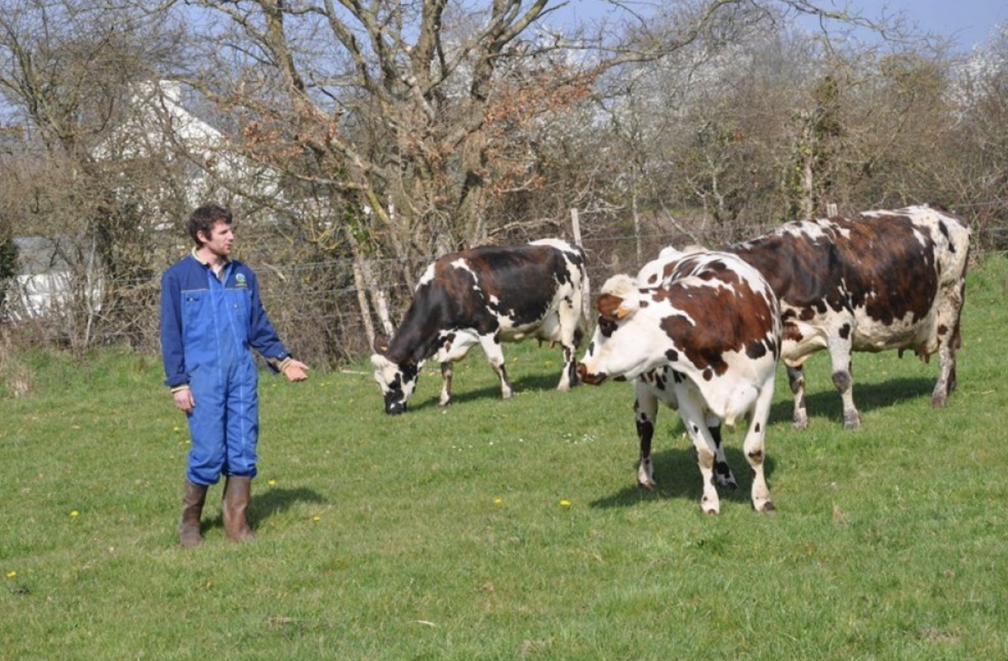 Derniers jours pour participer aux rencontres « Agriculture et biodiversité » sur la Presqu’ile guérandaise